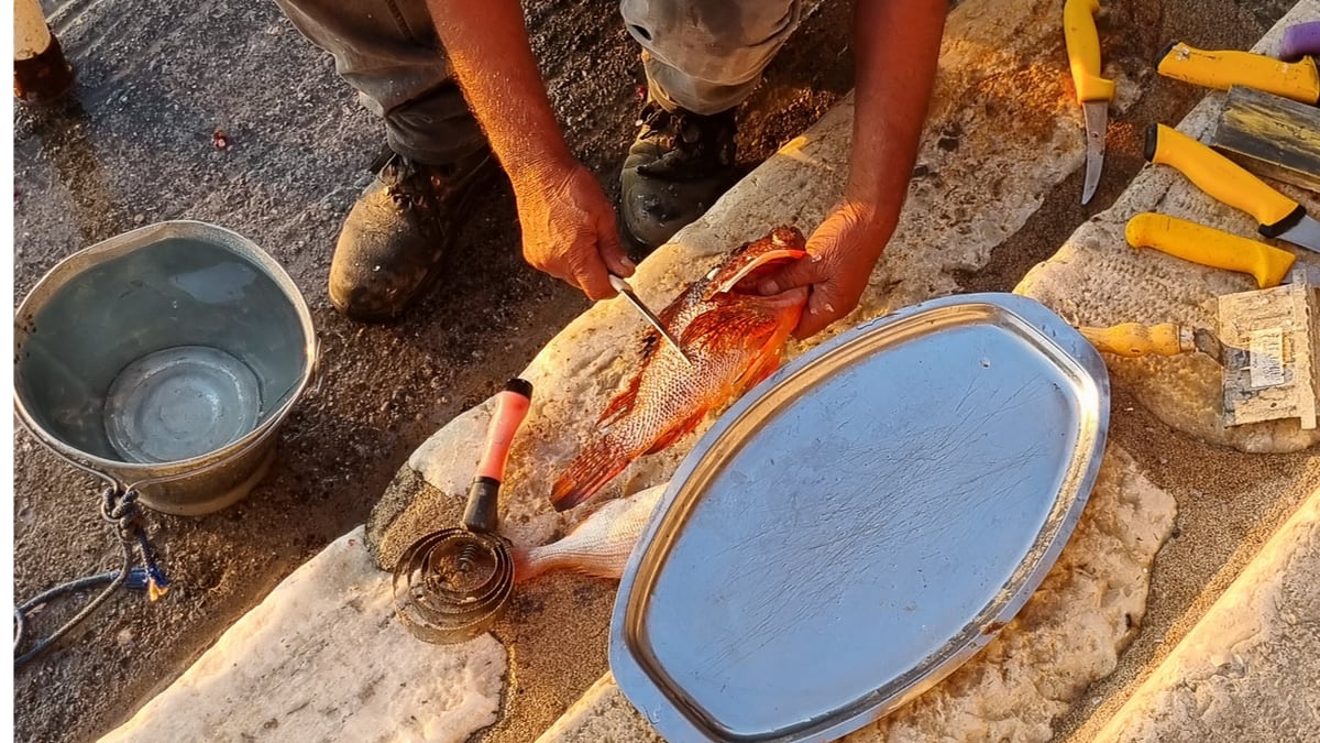 Frischer Fisch wird in der Mani direkt am Hafen vorbereitet